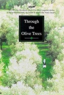 橄榄树下的情人,一段难忘的恋情