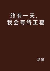 终有一天,梦想照进现实的旅程
