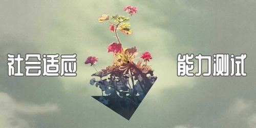 适应不良者,探寻心理困境的根源与突破