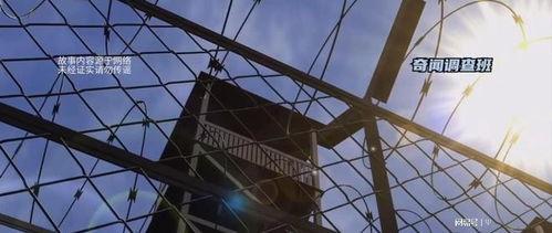 被遗弃的死者,被遗忘的死者之谜