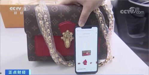 玄学小奶包竟能预测未来