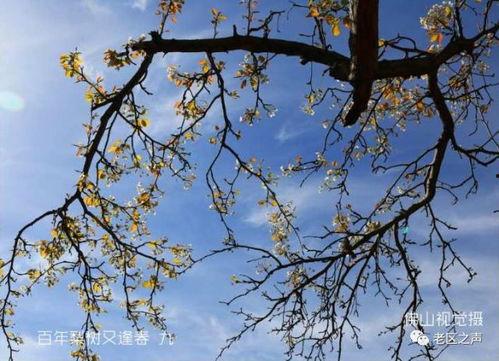 暮年又逢春,岁月沉淀的人生新篇章