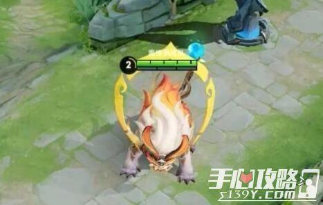 奥运荣光之子跃龙门,谱写青春辉煌篇章