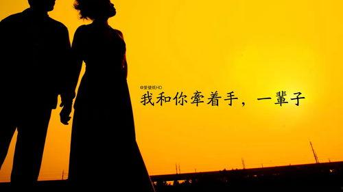 爱情飞逝,揭秘爱情易逝的真相