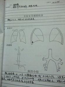 放学后病历簿,揭秘校园健康守护的日常