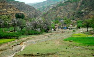 闹鬼河谷,探寻神秘传说背后的幽暗真相