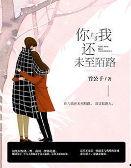 陌路恋人,一段意外的爱情旅程